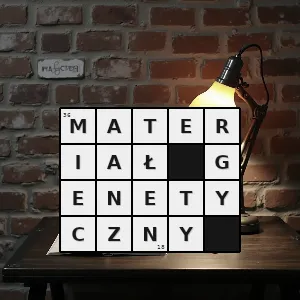 Hasło krzyżówkowe substancja chemiczna będąca fizycznym nośnikiem informacji genetycznej i dziedziczności - materiał genetyczny – rozwiązanie, synonimy, podpowiedzi i definicje krzyżówkowe